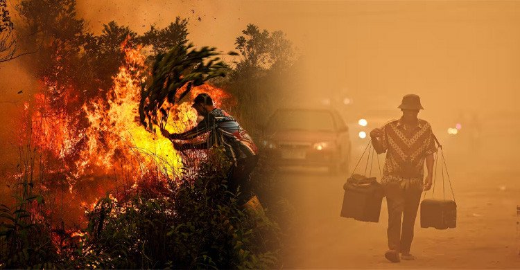 দাবানলের ধোঁয়ায় বিপর্যস্ত বিশ্বের সর্ববৃহৎ মুসলিম দেশ, ৩ হাজার ৫৬০ জনের মৃত্যু